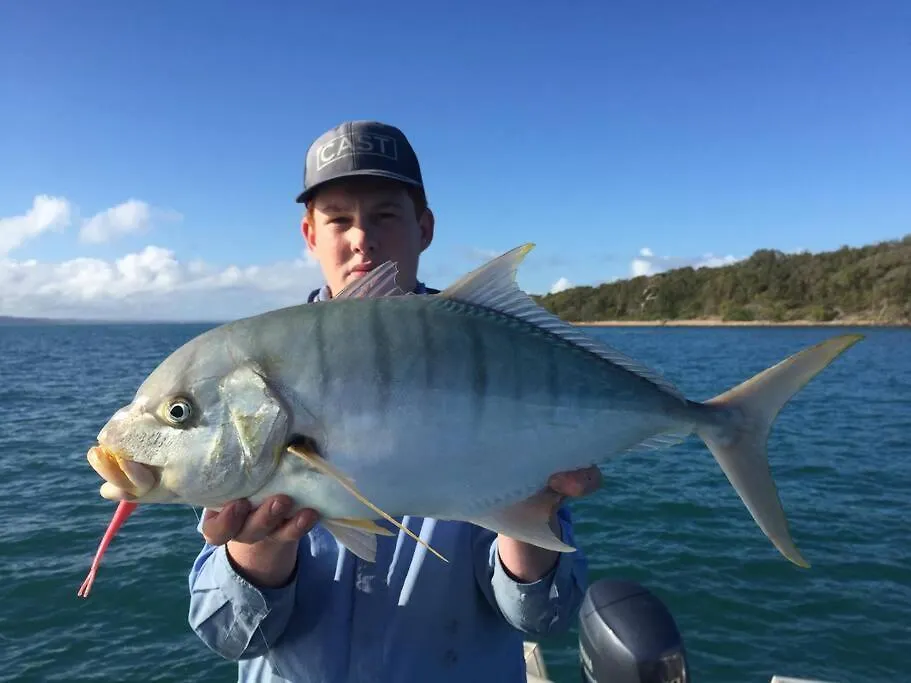 Mango Lodge River Heads 0*,