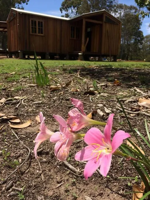 Mango Lodge River Heads Australia